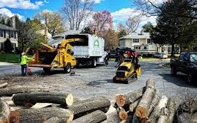 Best Fruit Tree Pruning  in Milford, NJ