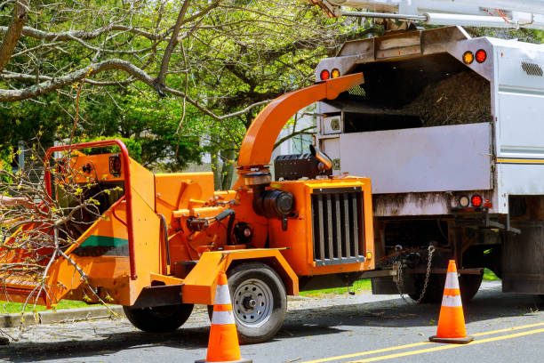 Lawn Maintenance Plans in Milford, NJ