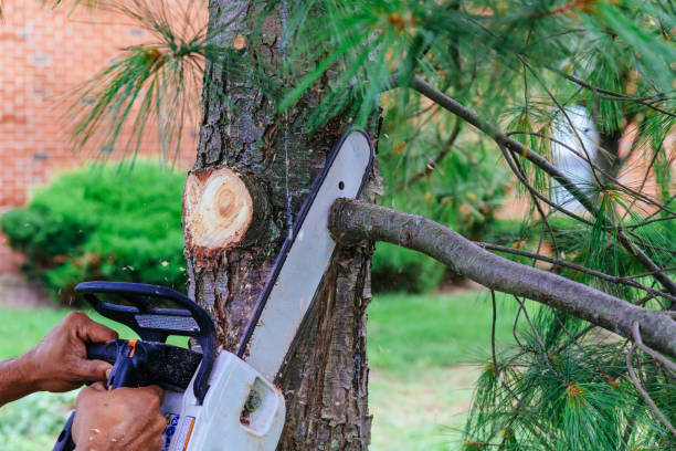 Best Lawn Mowing  in Milford, NJ
